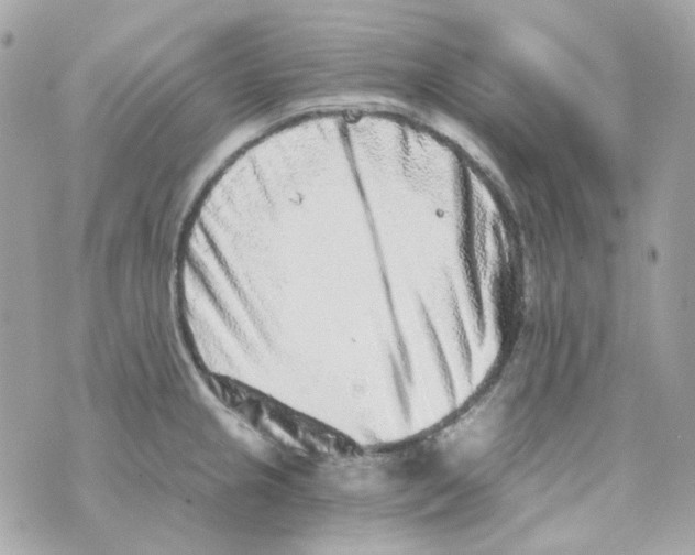 X0000069831237200606161932