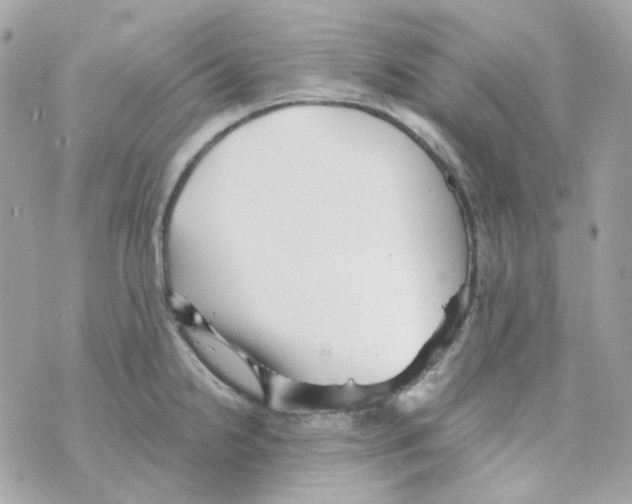 X0000069831238200606161932