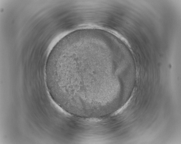 X0000069831239200606161932