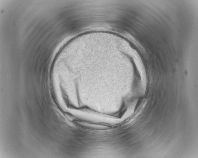 X0000069831240200606161932