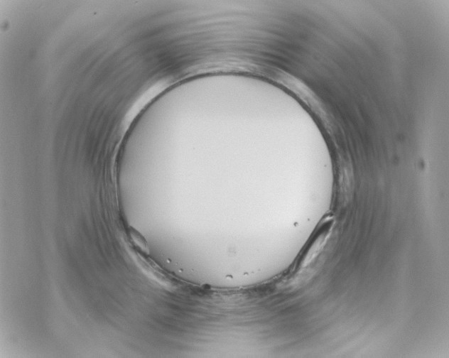 X0000069831242200606161932