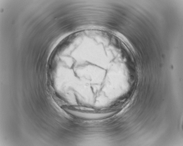 X0000069831244200606161932