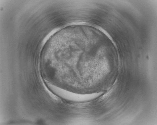 X0000069831245200606161932