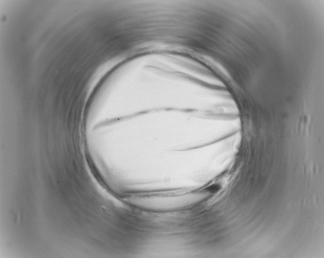 X0000069831247200606161932