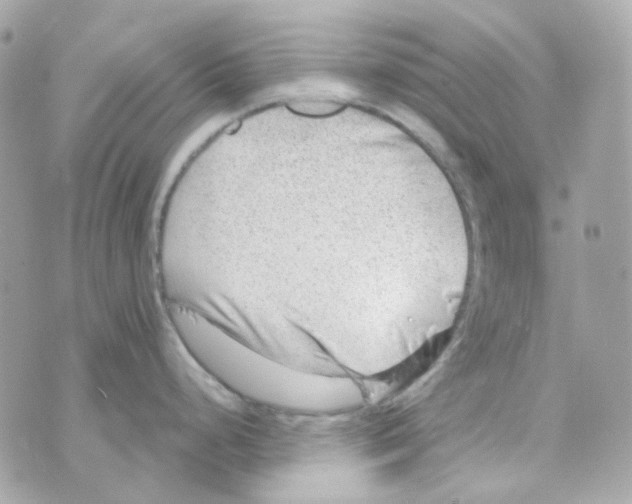 X0000069831248200606161932