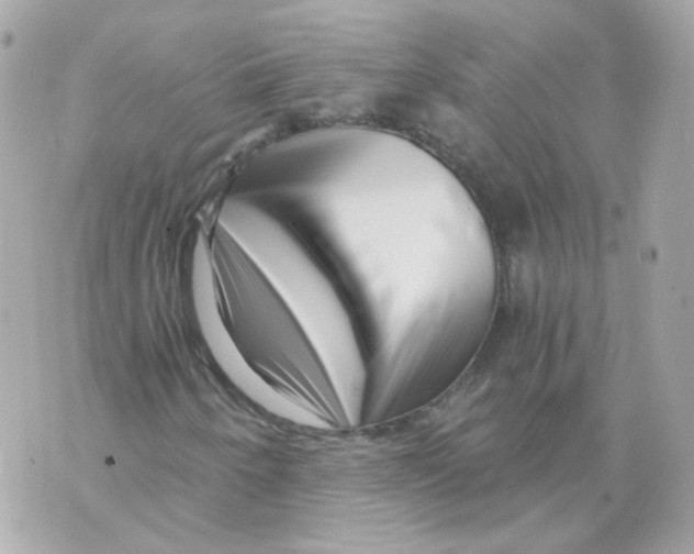 X0000069831250200606161931