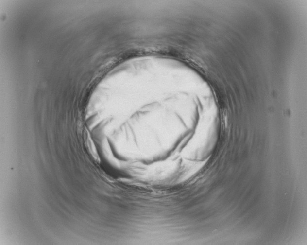 X0000069831251200606161931