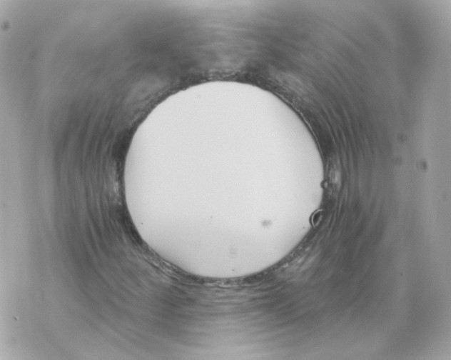 X0000069831252200606161931