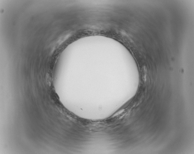 X0000069831253200606161931