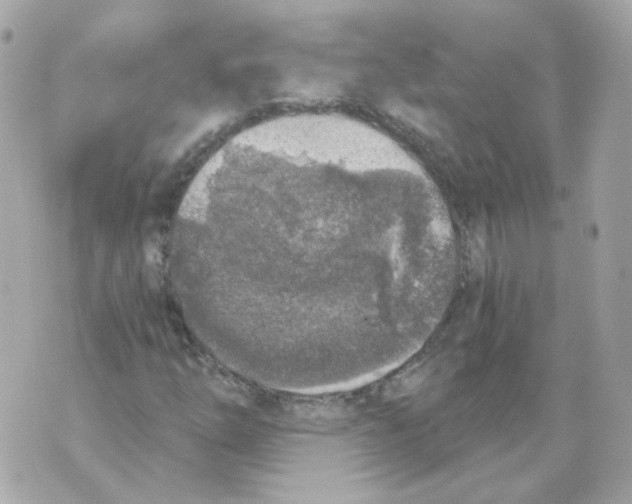 X0000069831254200606161931