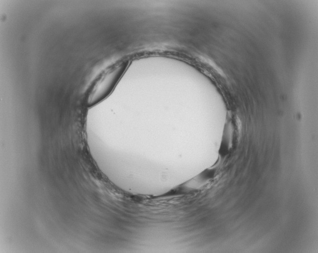 X0000069831256200606161931