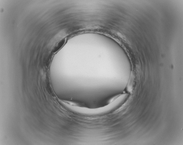 X0000069831257200606161931