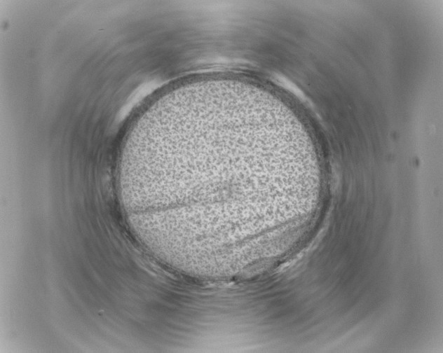 X0000069831259200606161931