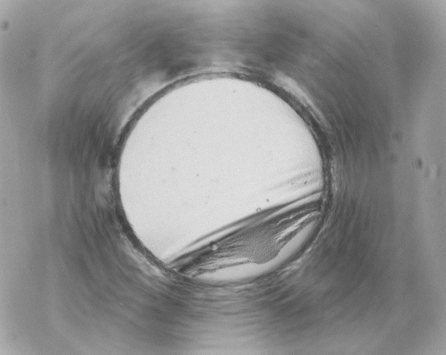 X0000069831260200606161931