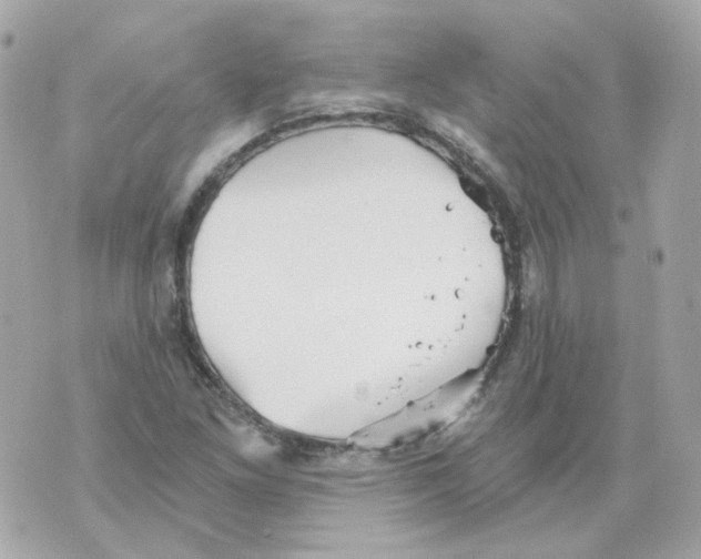 X0000069831261200606161931