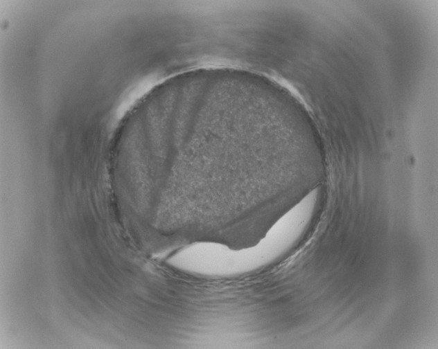 X0000069831263200606161931