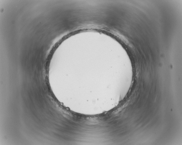 X0000069831264200606161931