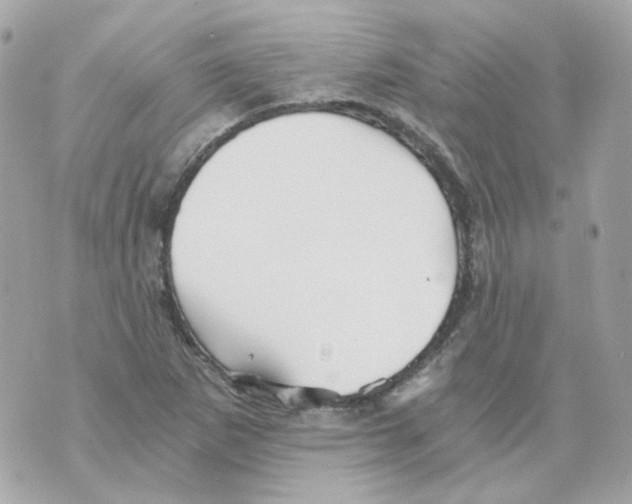 X0000069831265200606161931