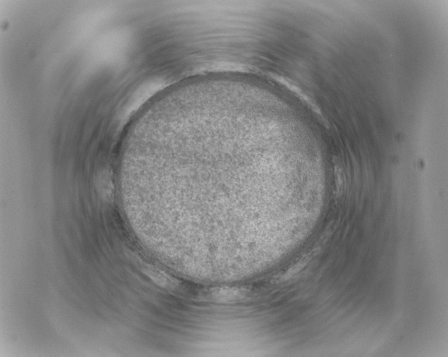 X0000069831266200606161931