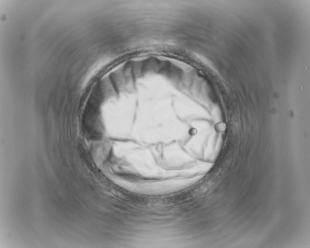 X0000069831267200606161931