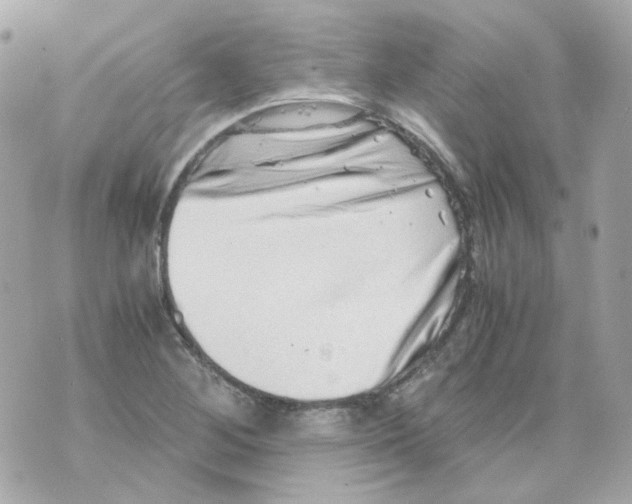 X0000069831268200606161931