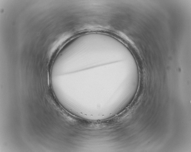 X0000069831269200606161931