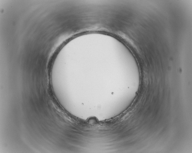 X0000069831270200606161931