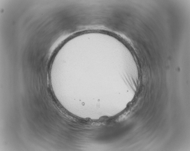 X0000069831271200606161931