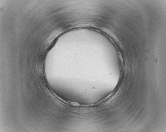 X0000069831273200606161931