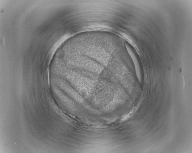 X0000069831275200606161931