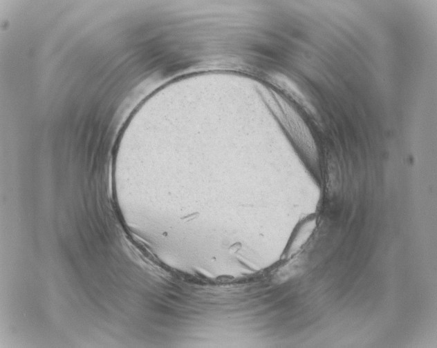 X0000069831276200606161931