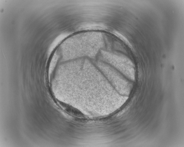 X0000069831277200606161931