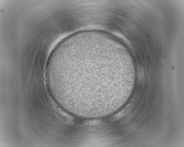 X0000069831278200606161931