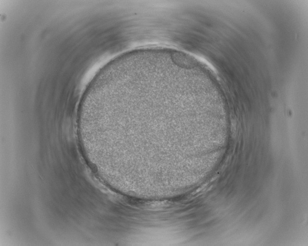 X0000069831279200606161931