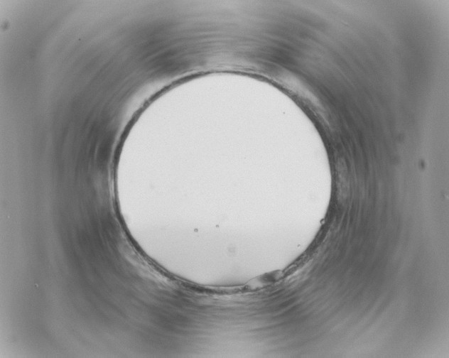 X0000069831280200606161931