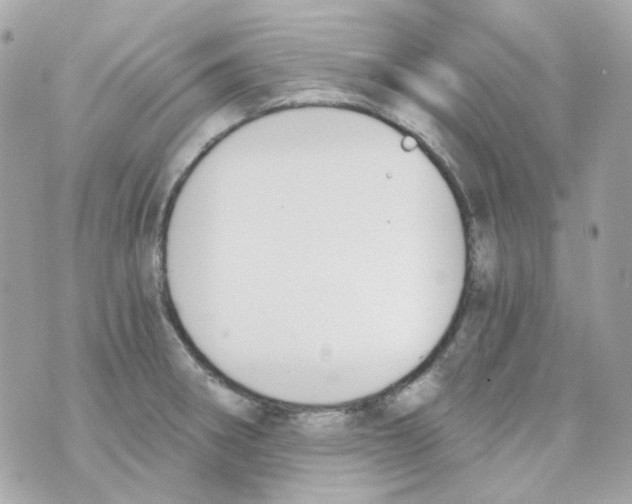 X0000069831282200606161931