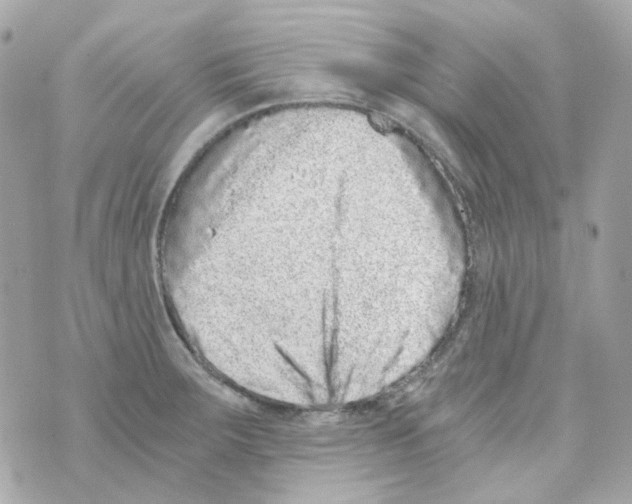 X0000069831283200606161931