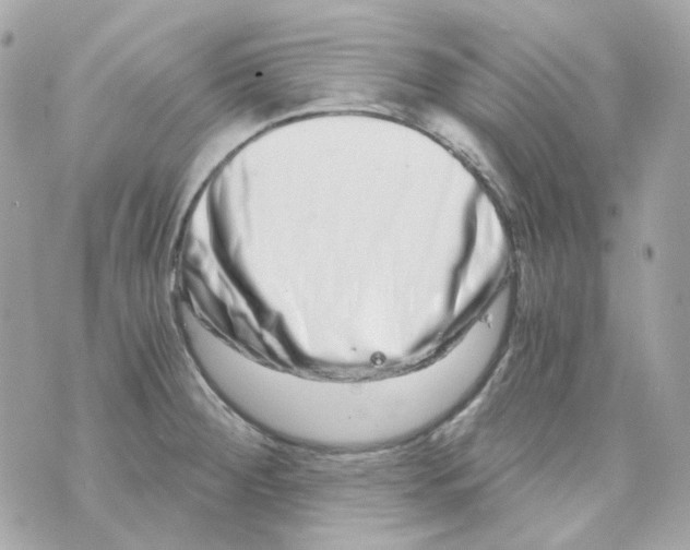 X0000069831284200606161931