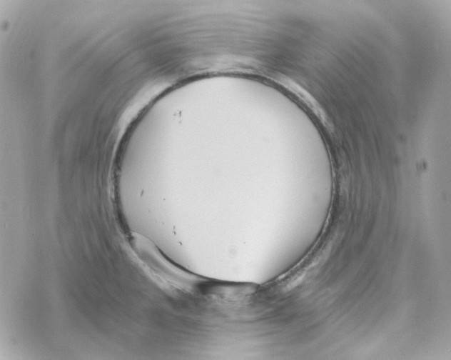 X0000069831285200606161931