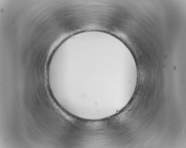 X0000069831286200606161931