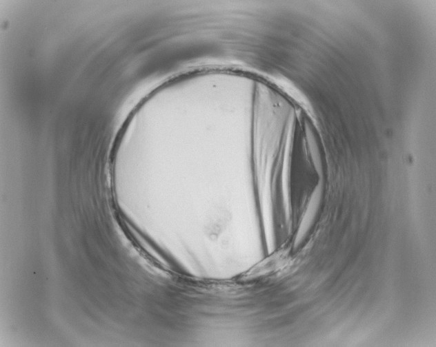 X0000069831287200606161931