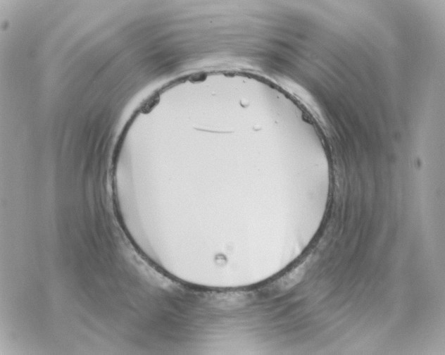 X0000069831288200606161931