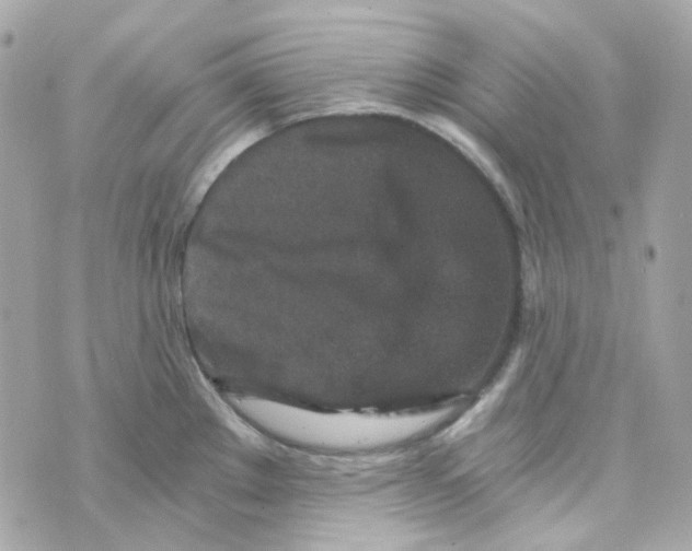 X0000069831289200606161931