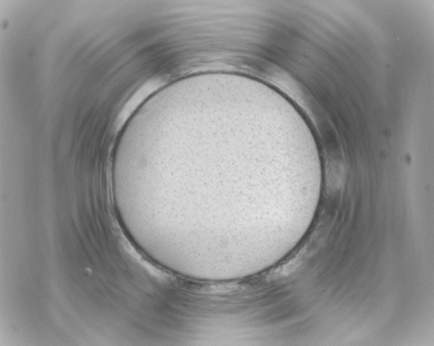 X0000069831290200606161931