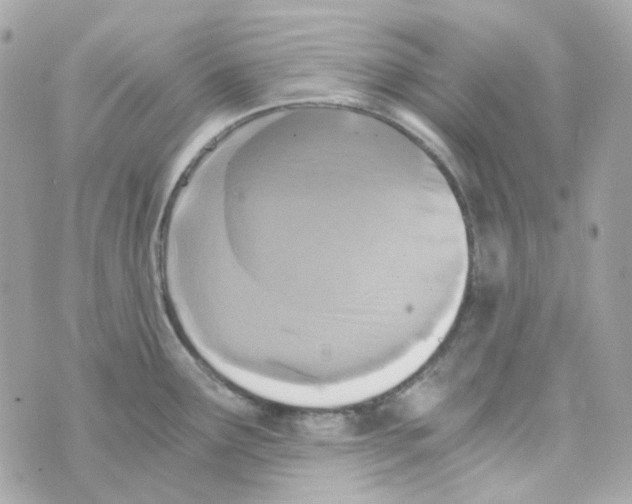 X0000069831291200606161931