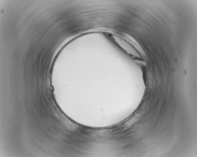 X0000069831292200606161931