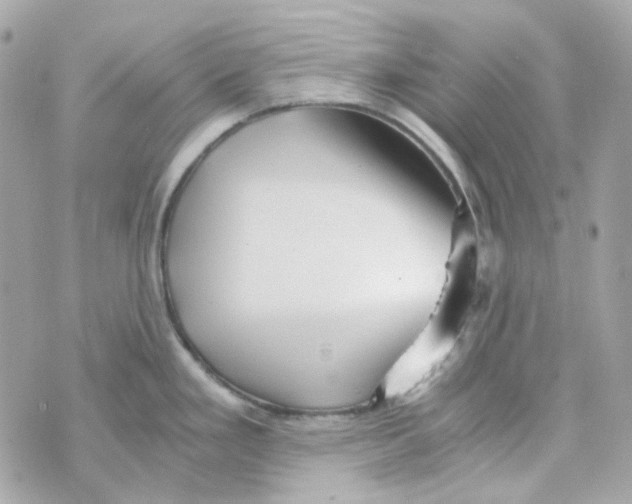 X0000069831293200606161931