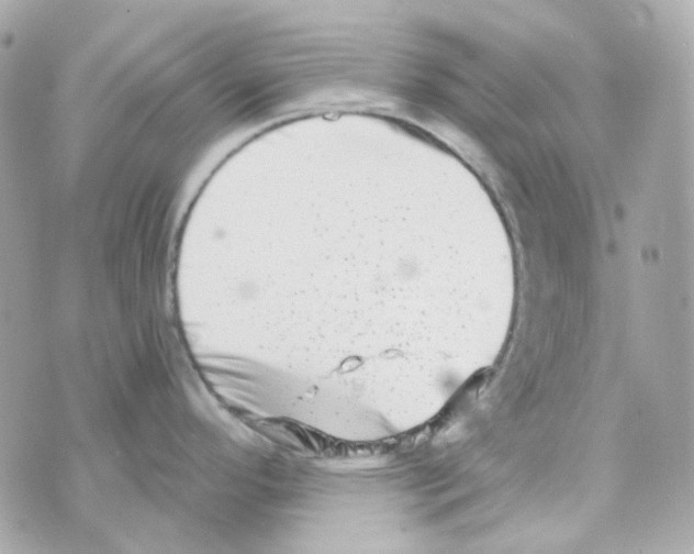 X0000069831296200606161931