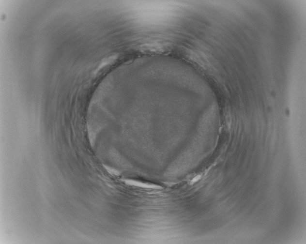 X0000069831297200606161930