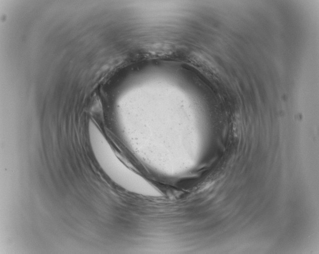 X0000069831298200606161930